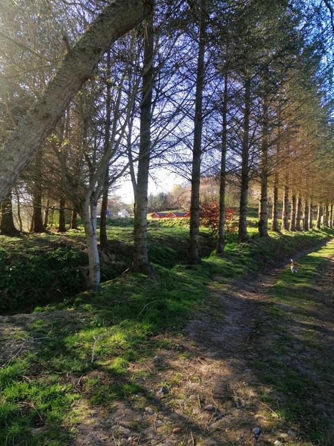 Cobblehouse Country Cabins No Trades Workers Villa Turriff Exterior photo